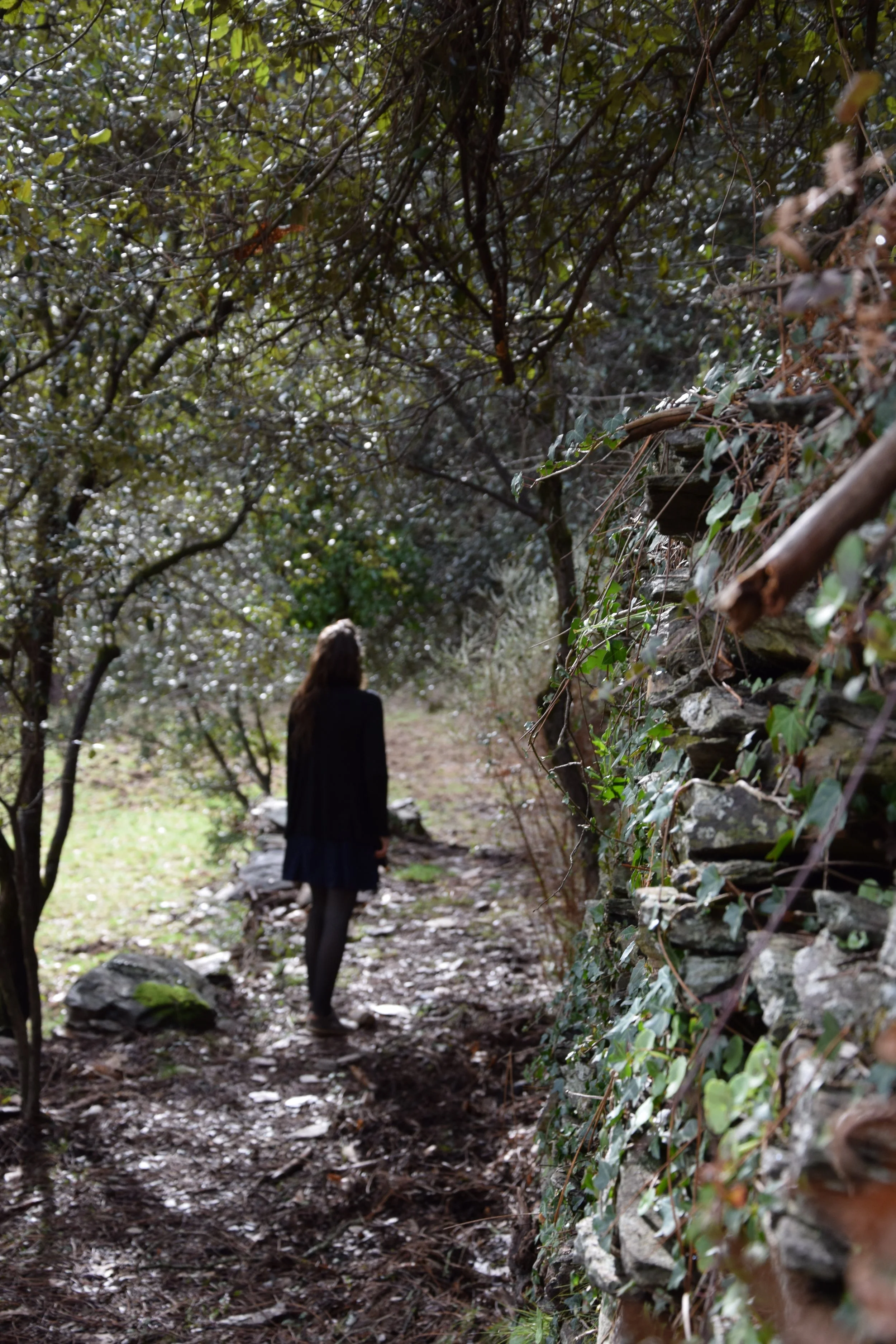 Photo dans les Cévennes, parcours, chemin de vie