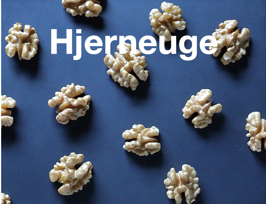 Det er Hjerneuge