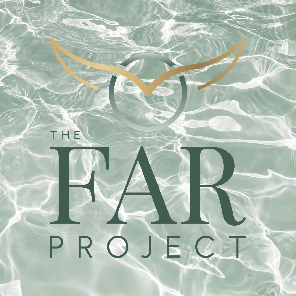 An abstract logo with a circular emblem and stylized wings in gold over a water ripple background, with text reading "The FAR Project".