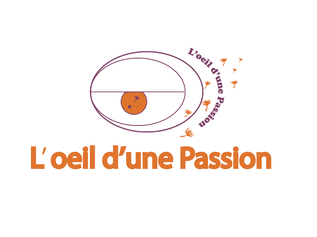 l'oeil d'une Passion scénographie et décor sur mesure 