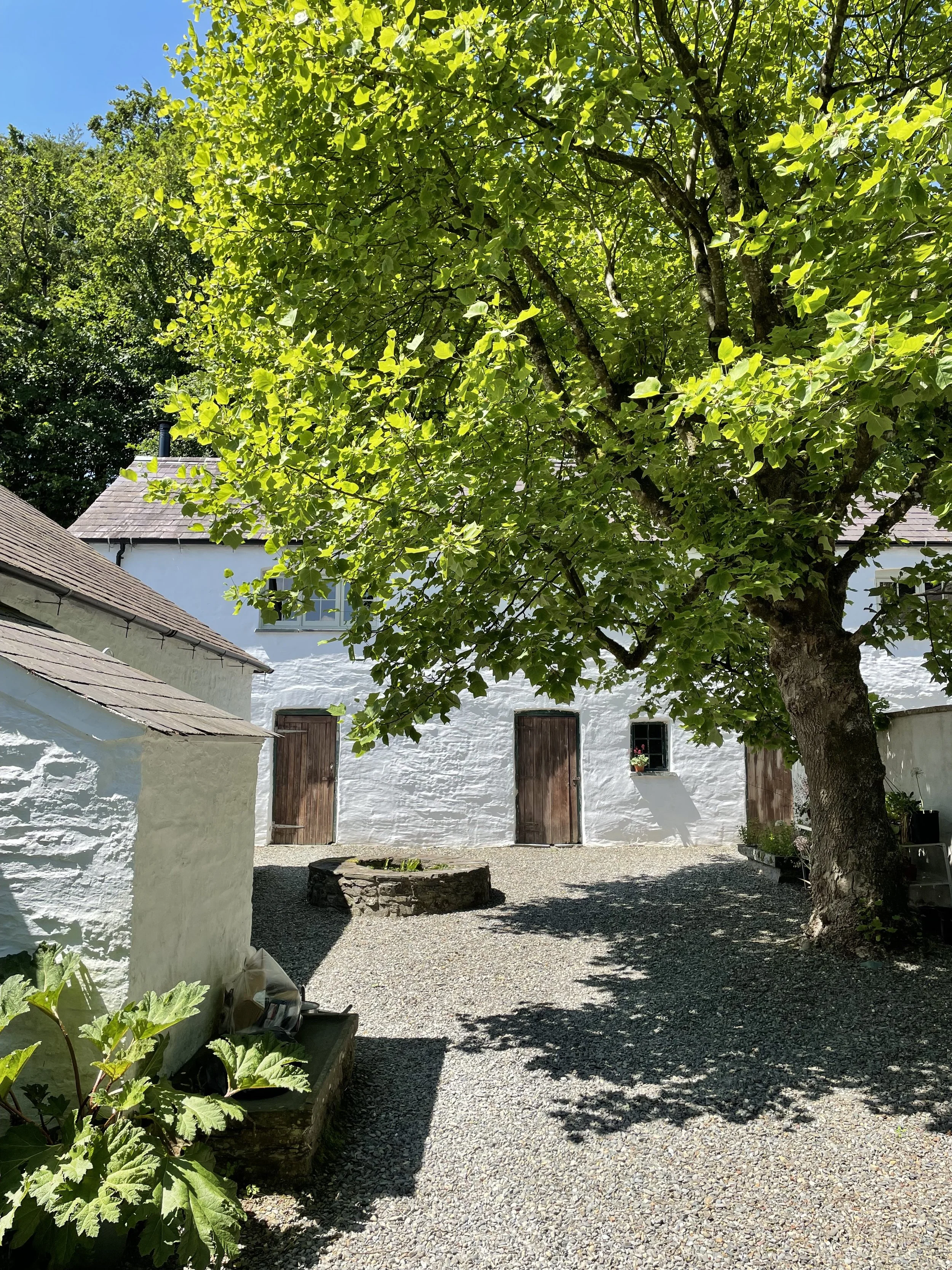 A white cottage with brown doors and windows, surrounded by a gravel yard and large leafy green trees, with sunlight casting shadows.