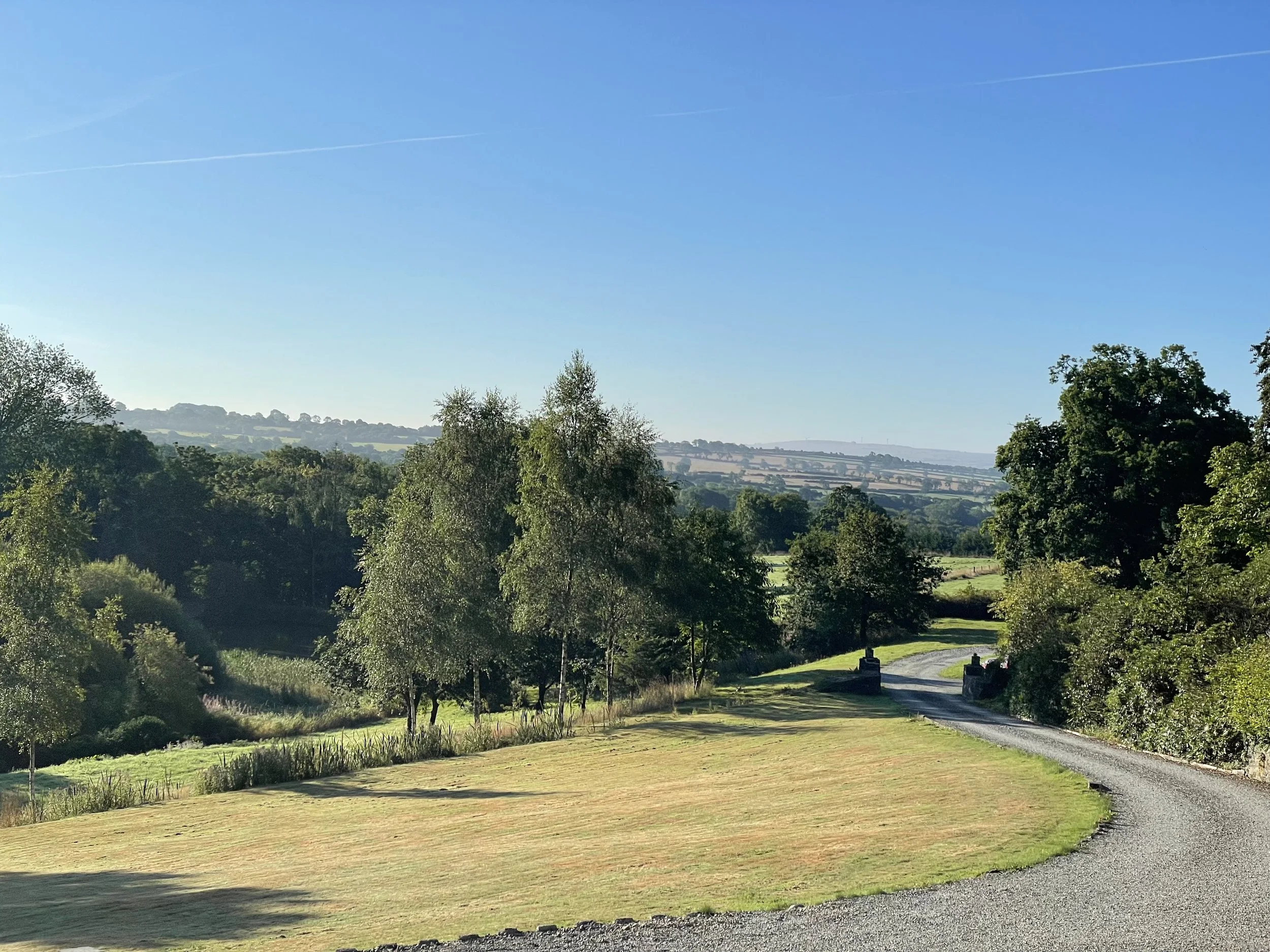 A gently winding gravel country road passes through green pastures and trees, with distant hills under a clear blue sky.