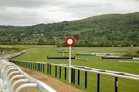 Cheltenham Races: A Local Guide for Visitors