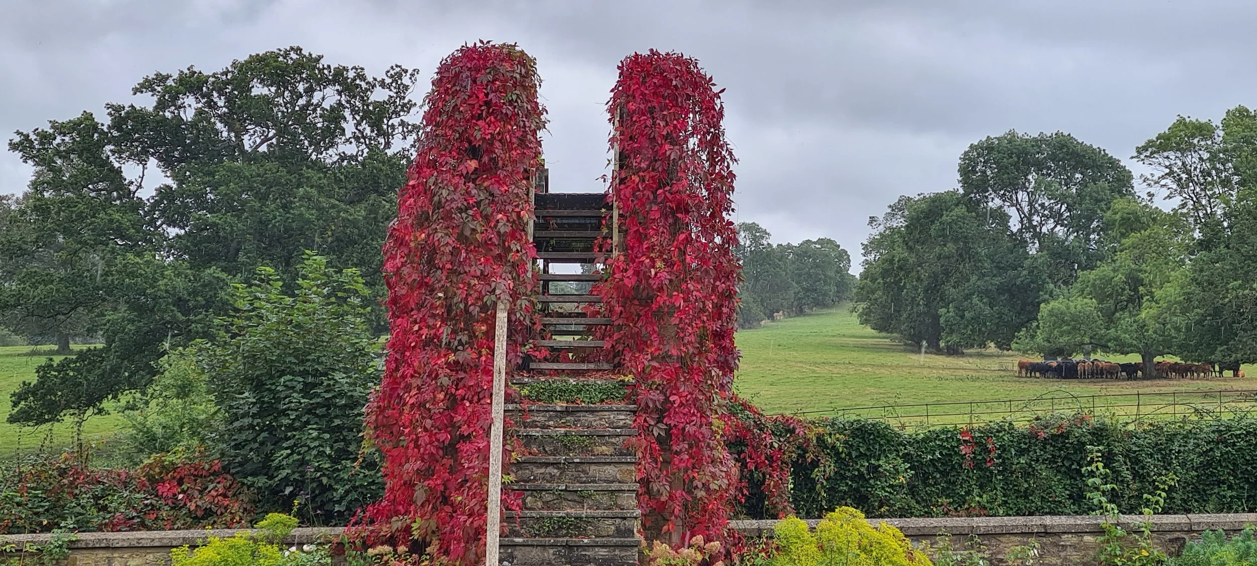 Autumn colours on the bridge to the meadow