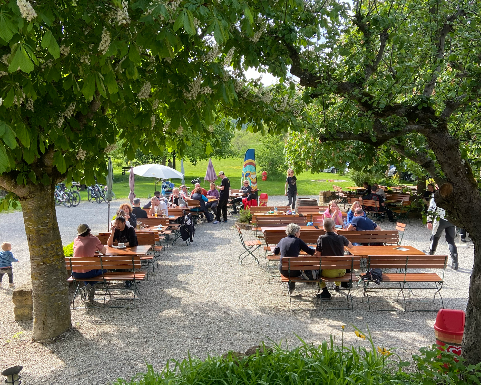 Menschen sitzen bei schönem Wetter an Holztischen im Freien under Bäumen im Biergarten Bootshaus an der Lauter, umgeben von grünen Pflanzen und Blumen, mit bunten Fahnen im Hintergrund.