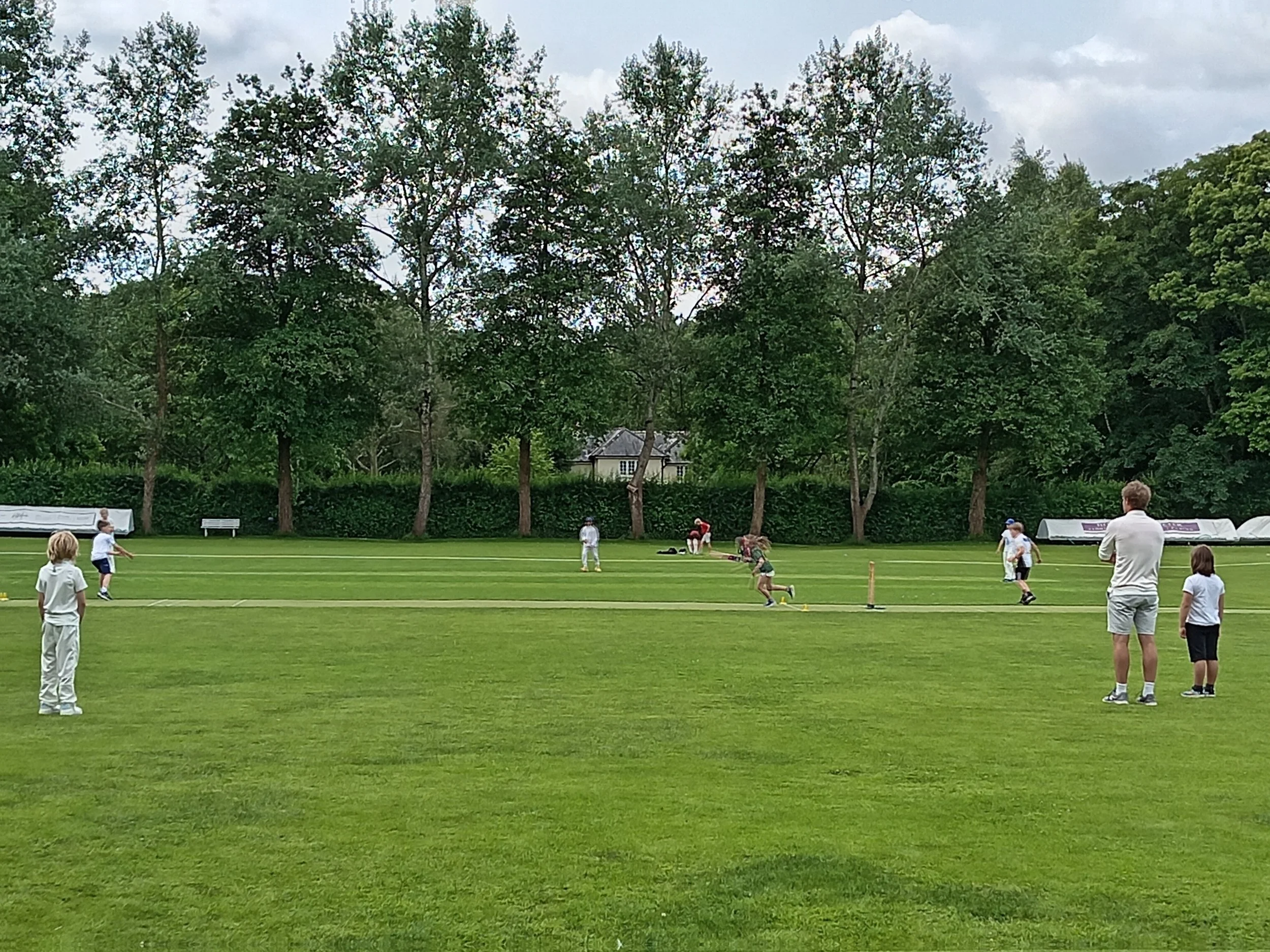 Children and adults playing and watching a game of cricket on a lush green cricket field surrounded by trees and overcast sky.