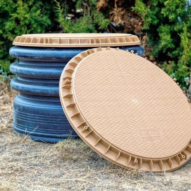 How Tree Root Intrusion Quietly Damages Septic Pipes and Drain Fields