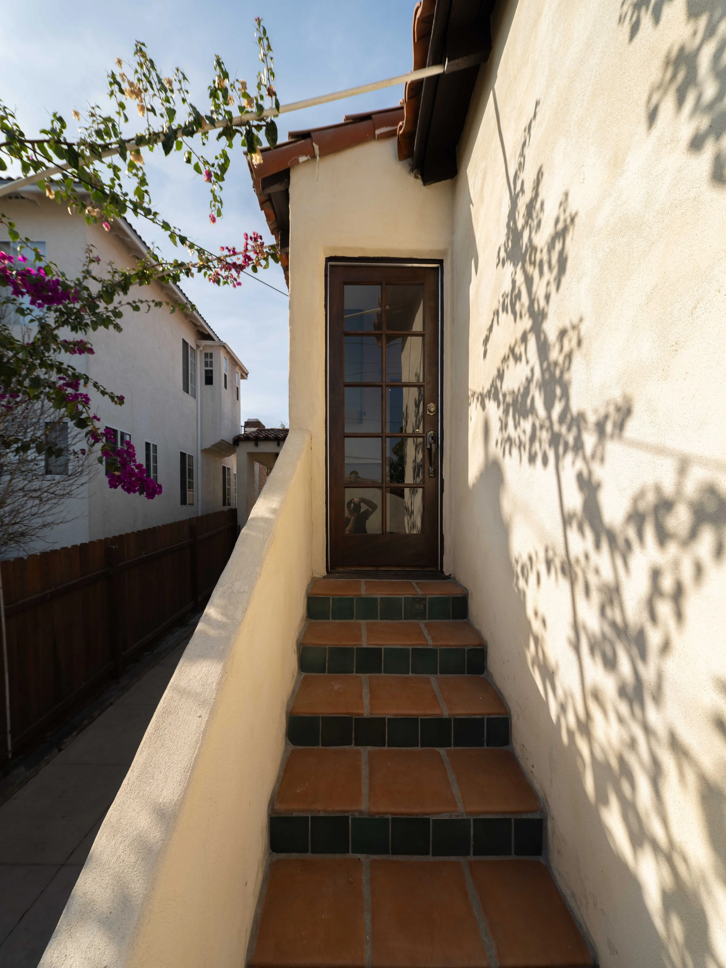 An outdoor staircase with three terracotta tiles and black tiles leading to a glass-paneled door on a small building. Sunlight casts shadows of nearby plants and trees on the white wall.