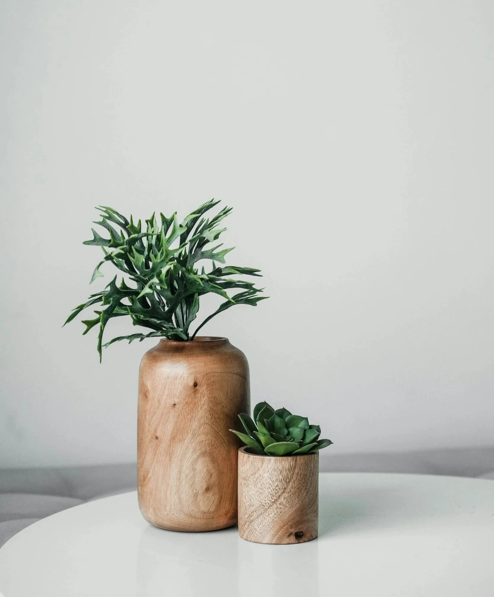 Two green plants in wooden pots on a white surface against a plain white background.