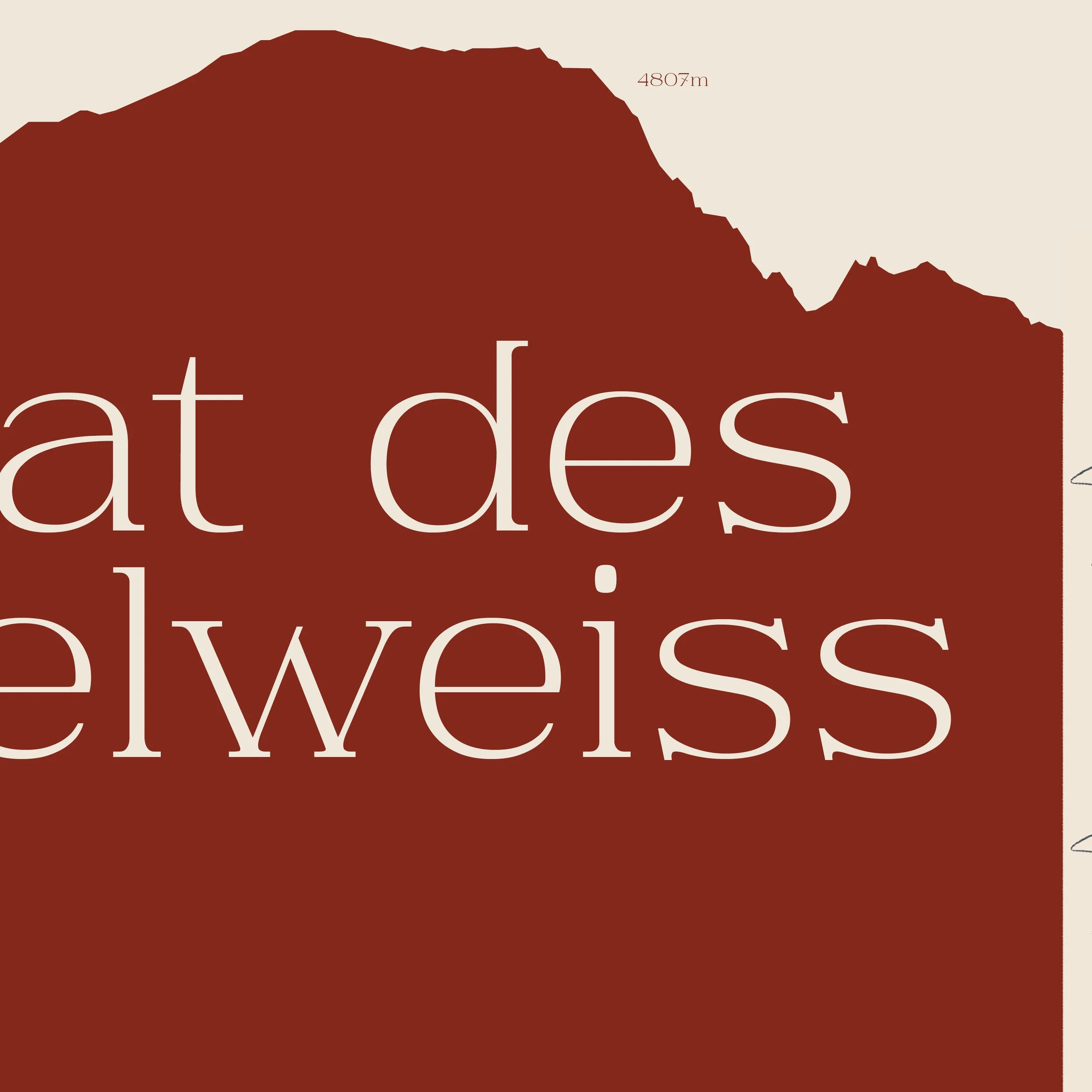 Plan de travail 3@3x-100.jpg