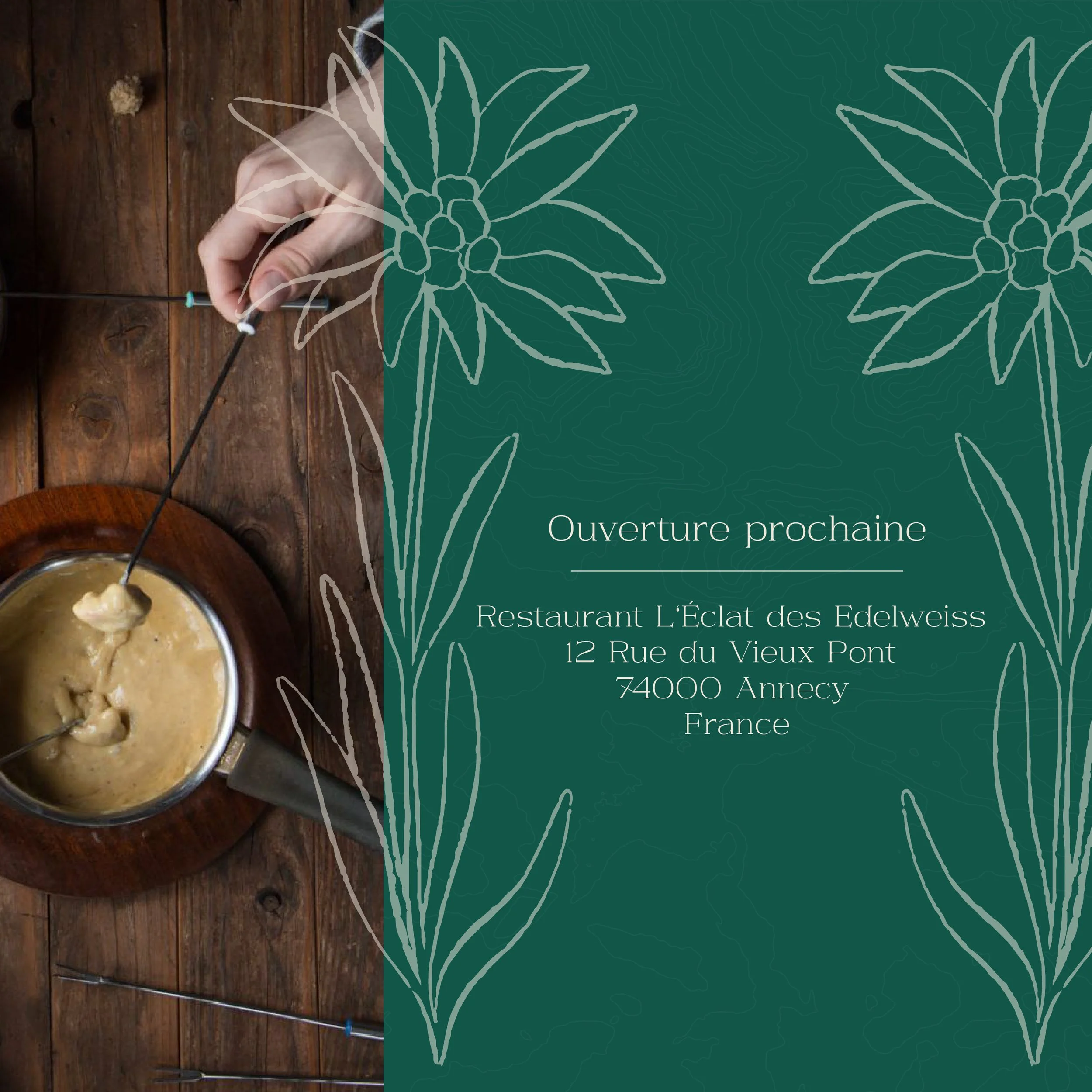 Plan de travail 6@3x-100.jpg