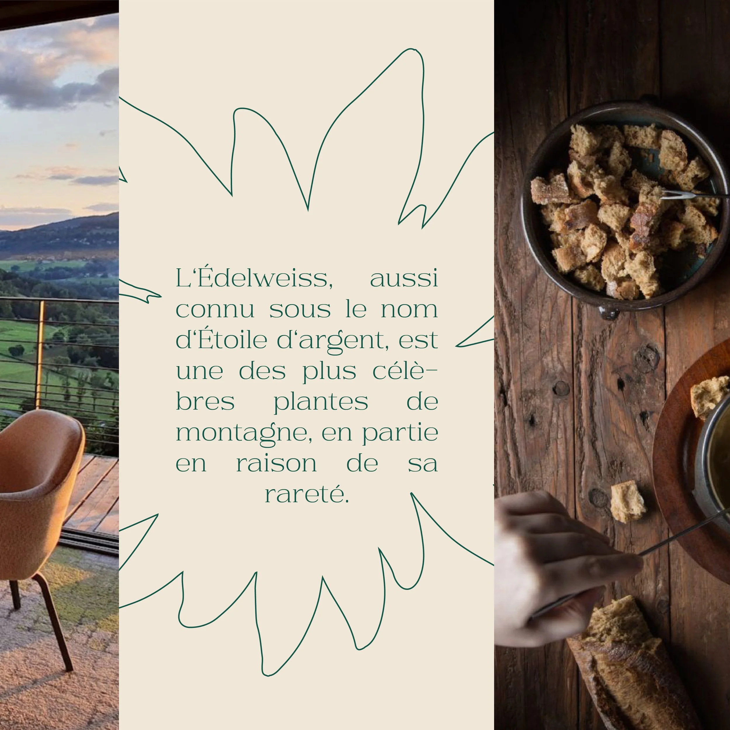 Plan de travail 5@3x-100.jpg