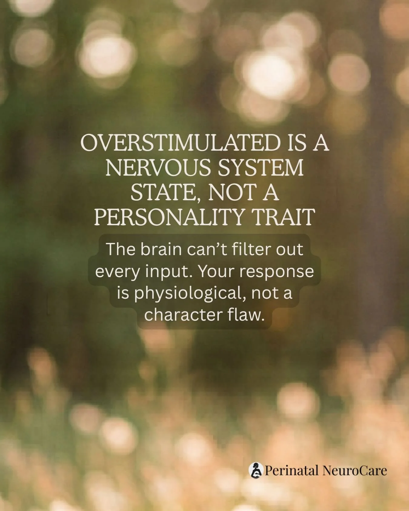 The &ldquo;Mom Rage&rdquo; nobody wants to talk about? It&rsquo;s usually just a nervous system that has run out of tabs. 🧠⚡️

For those of us with ADHD, our filters are already a bit porous. Add in postpartum hormone shifts, sleep deprivation, and 