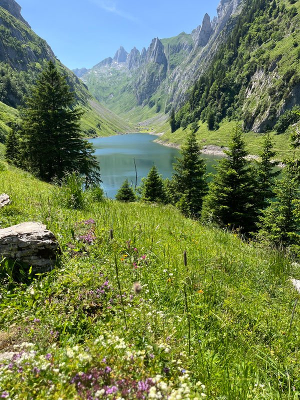 Ganzheitliches Coaching in der Schweiz für Transformation, Klarheit und selbstbestimmtes Leben