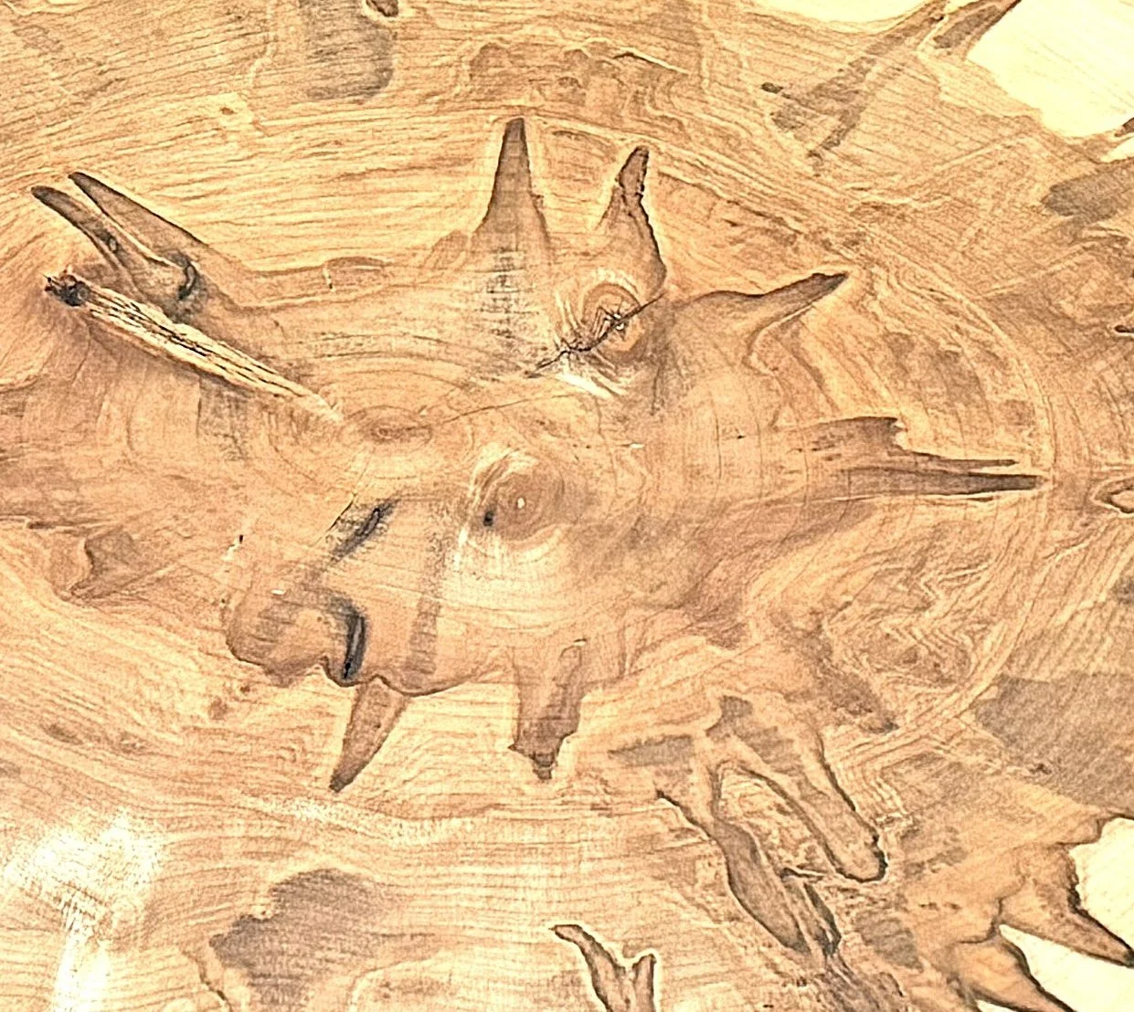Ambrosia Maple Cross Cut