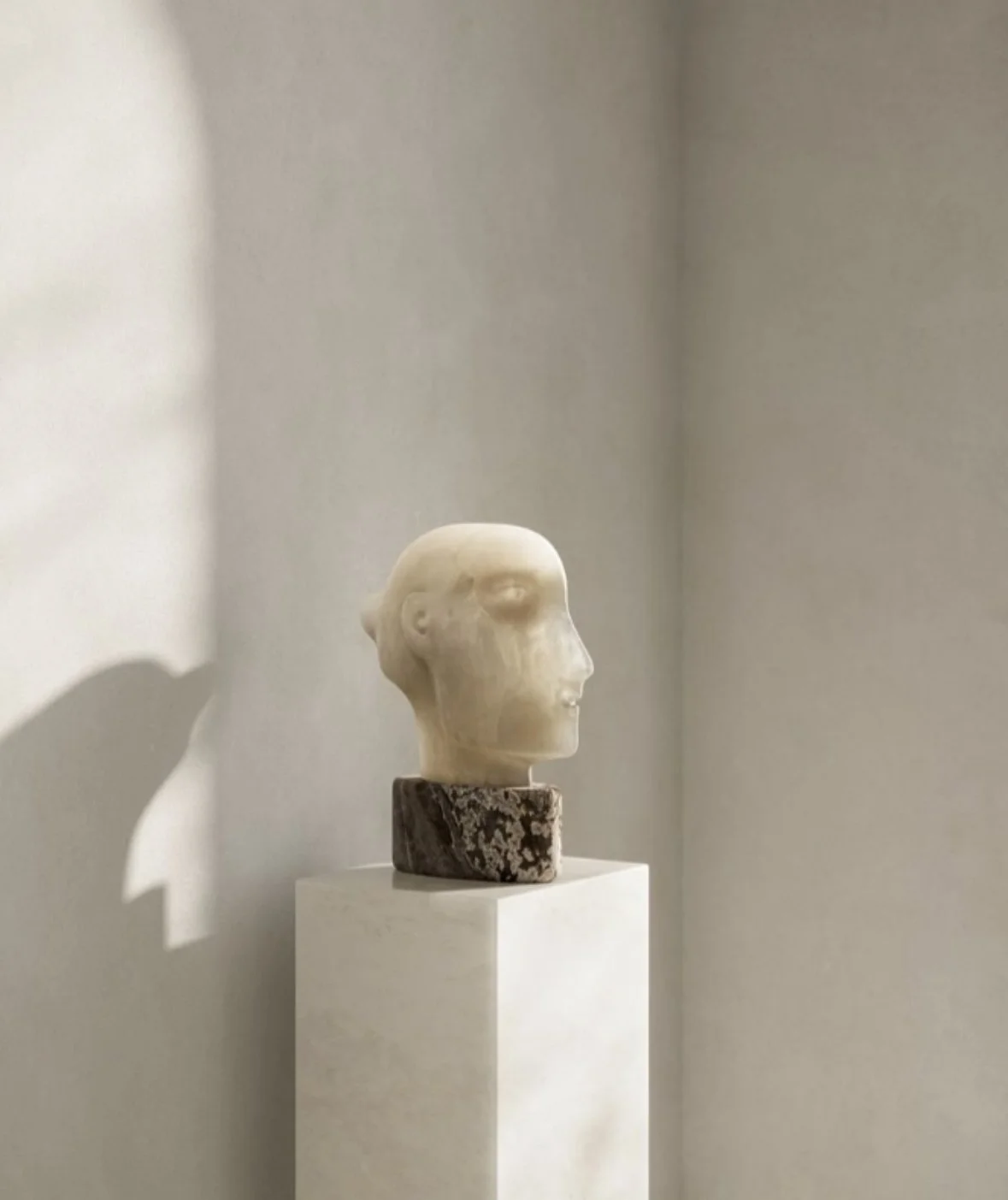 Statue d'une tête de femme en marbre sur un socle en pierre, exposée dans une galerie d'art, éclairée par une lumière naturelle.