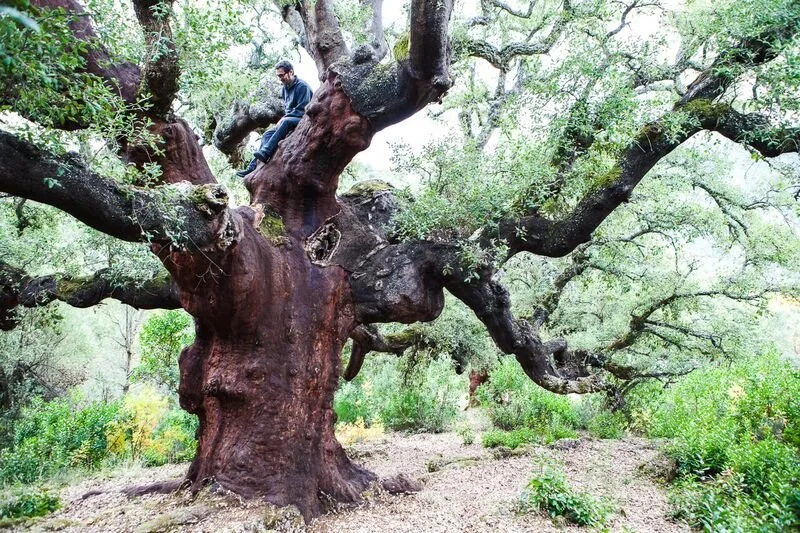 Ruta de los zufreiros del frade en el bierzo