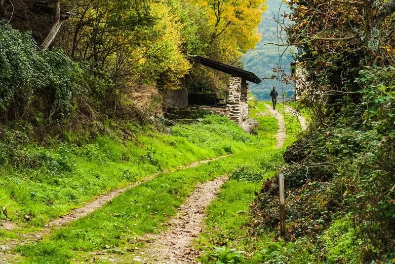 Camino de tierra rodeado de vegetación, con una pequeña estructura de piedra y un hombre caminando al fondo en un paisaje montañoso y boscoso