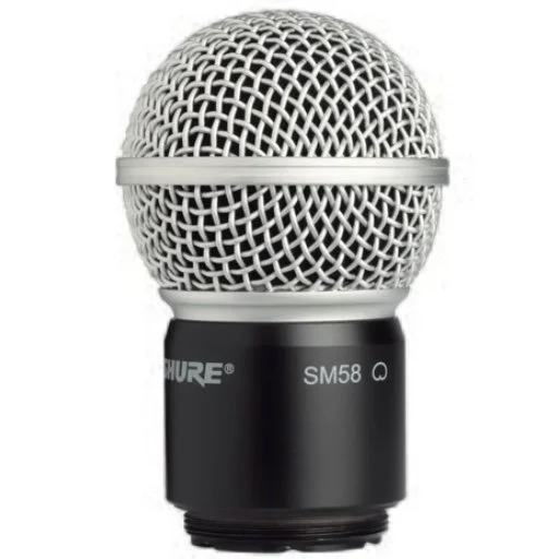 Shure SM58 Capsule