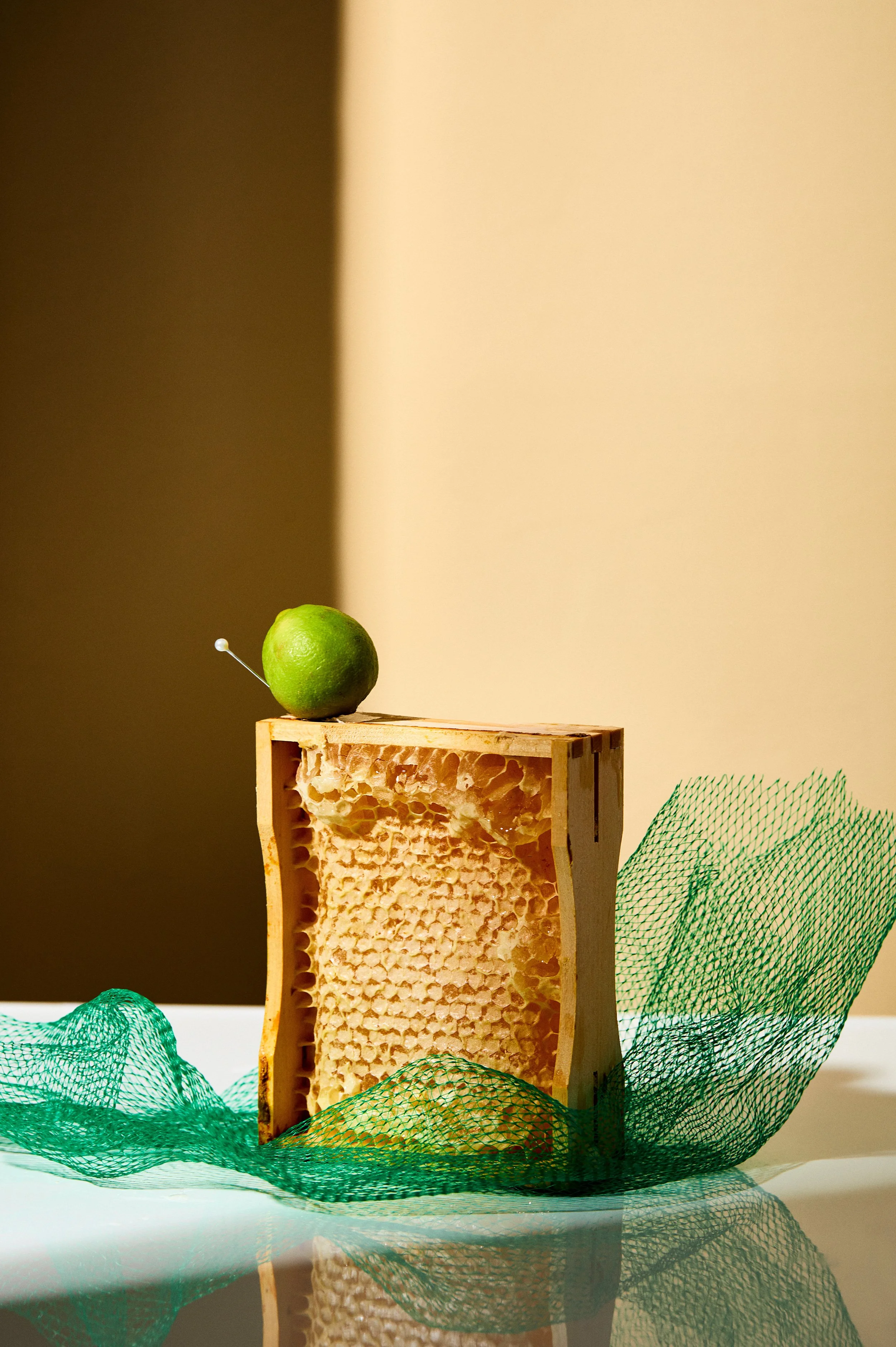 Large lemons and bee 4.jpg