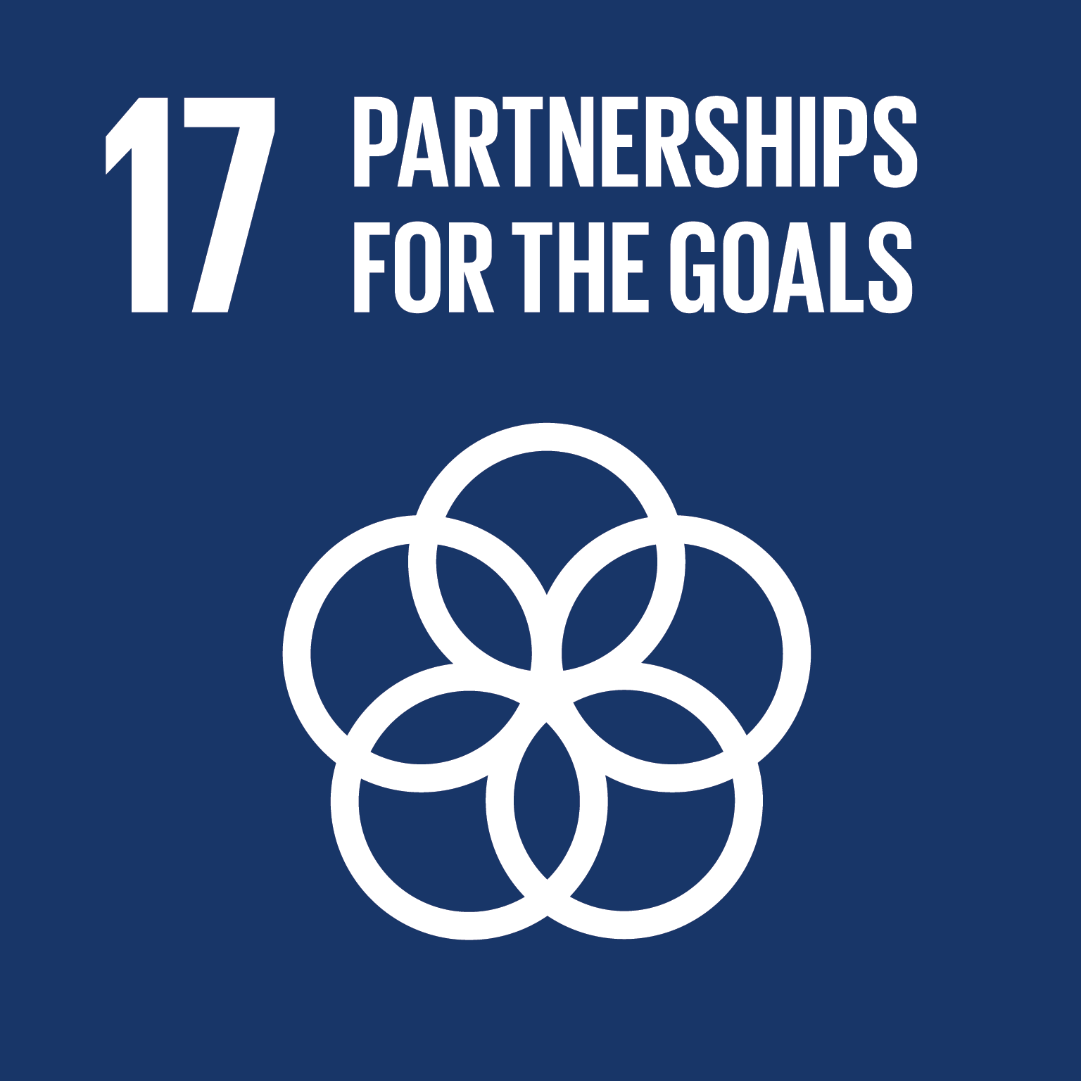 SDG17 Partnerships For The Goals logo