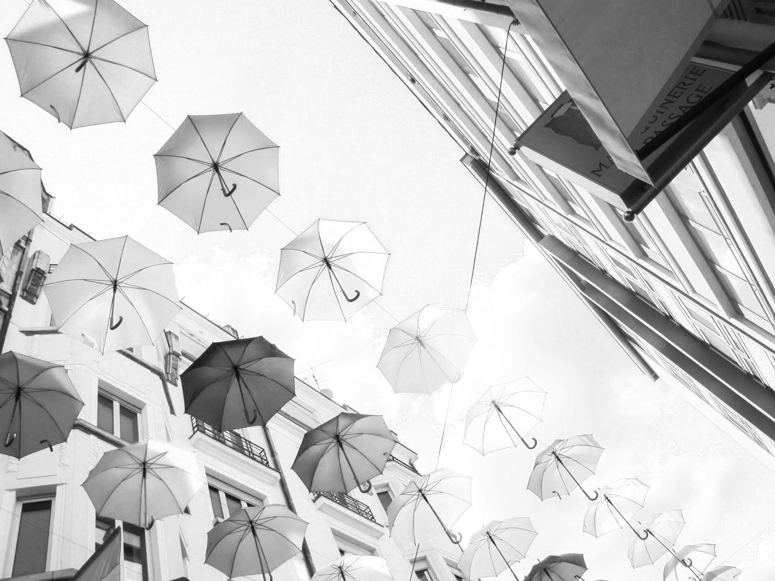 Summer reflections, pt. 1