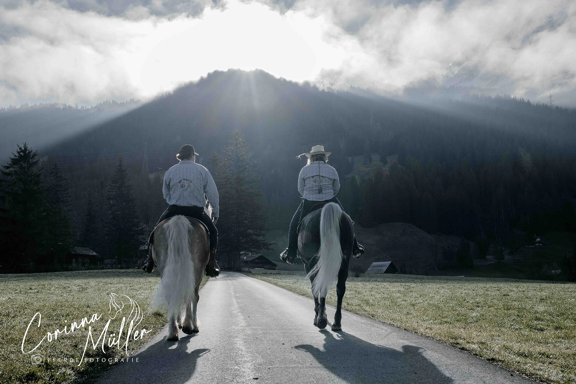 Pferdefotografie Corinna Müller