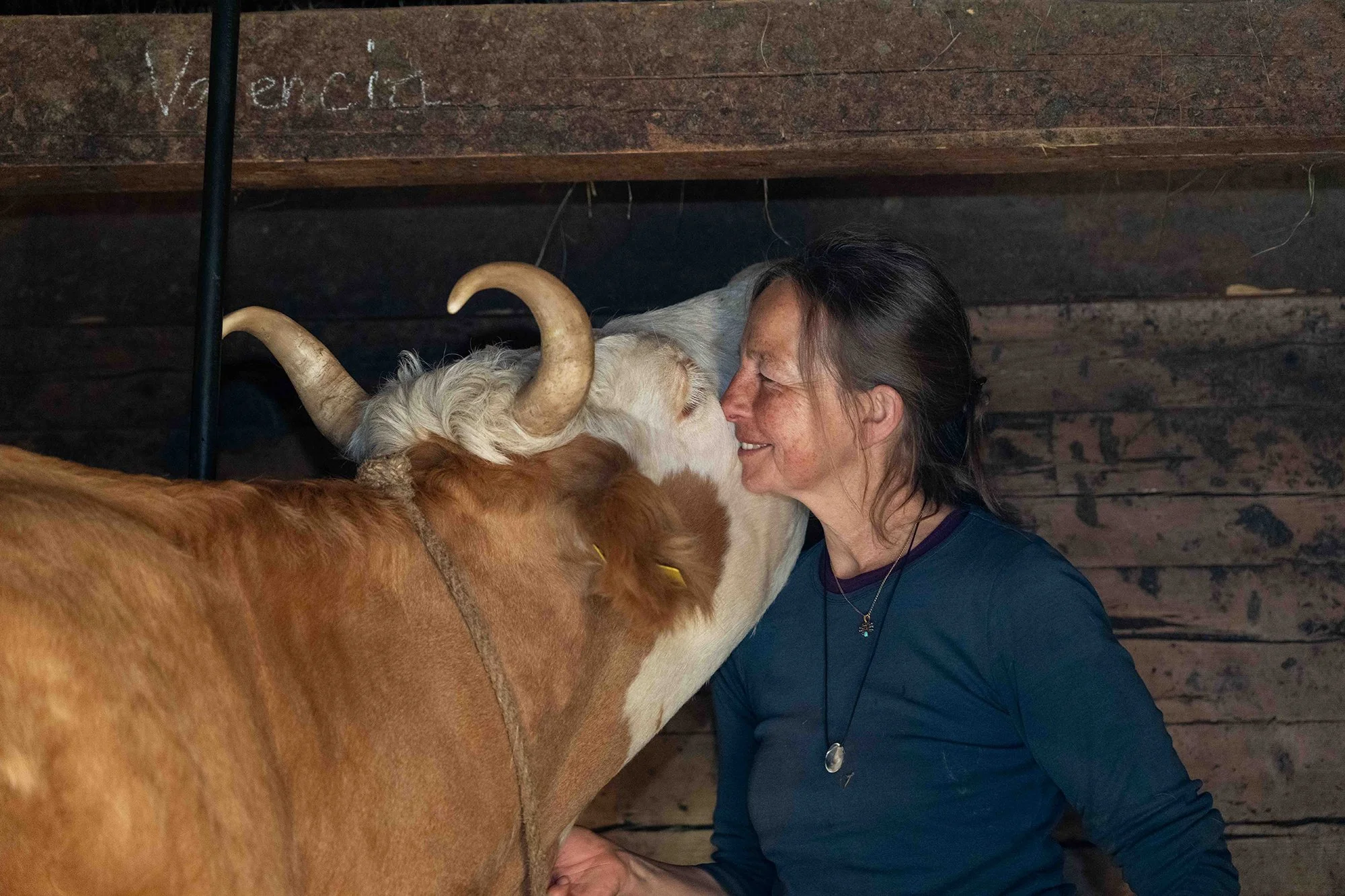 Tierfotografie Corinna Müller