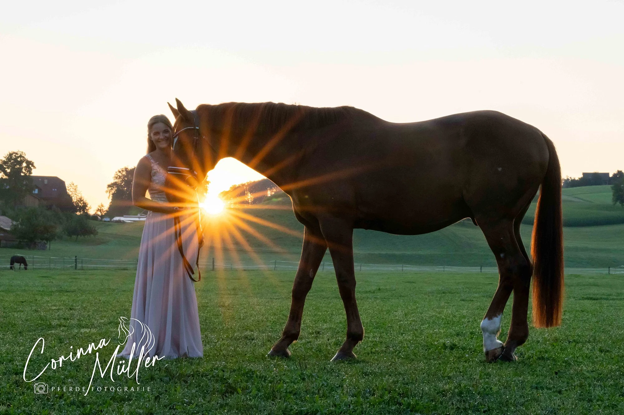Pferdefotografie Corinna Müller