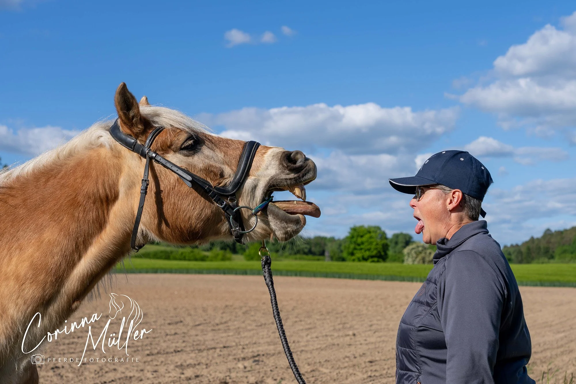 Pferdefotografie Corinna Müller