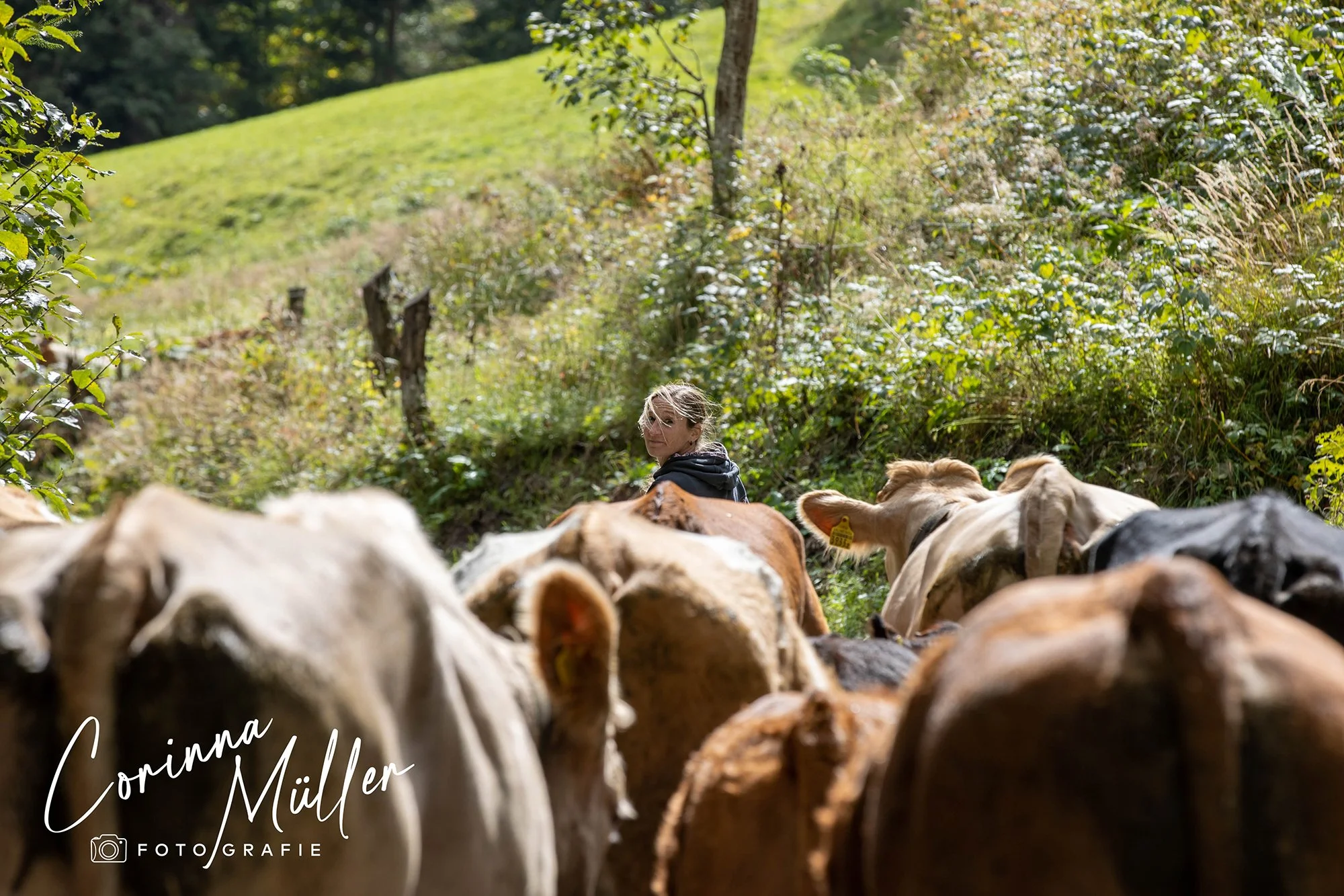 Auftragsfotografie Corinna Müller