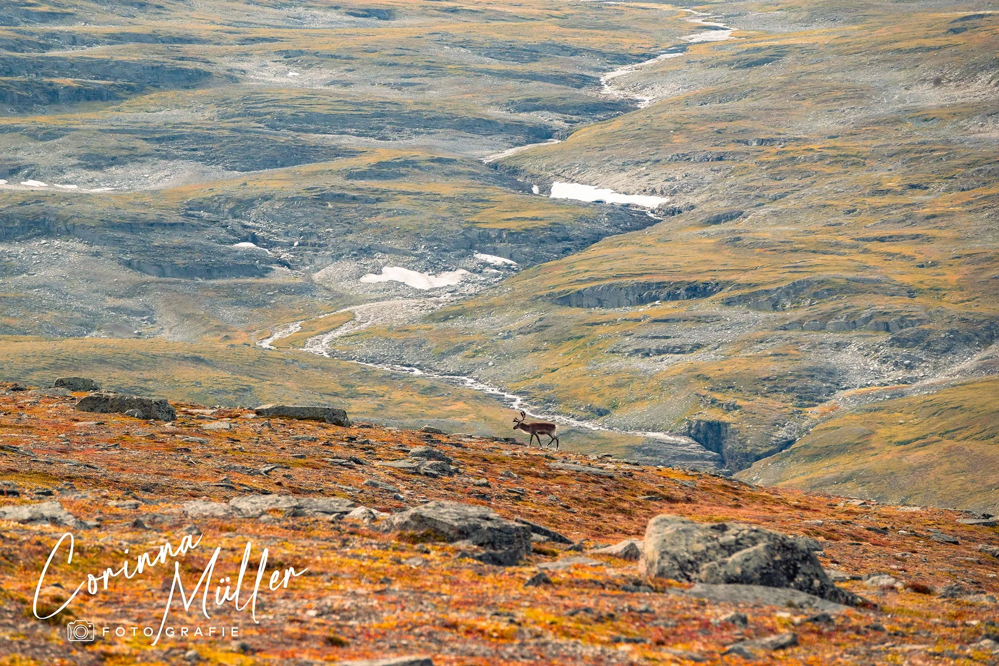 Landschaftsfotografie Corinna Müller