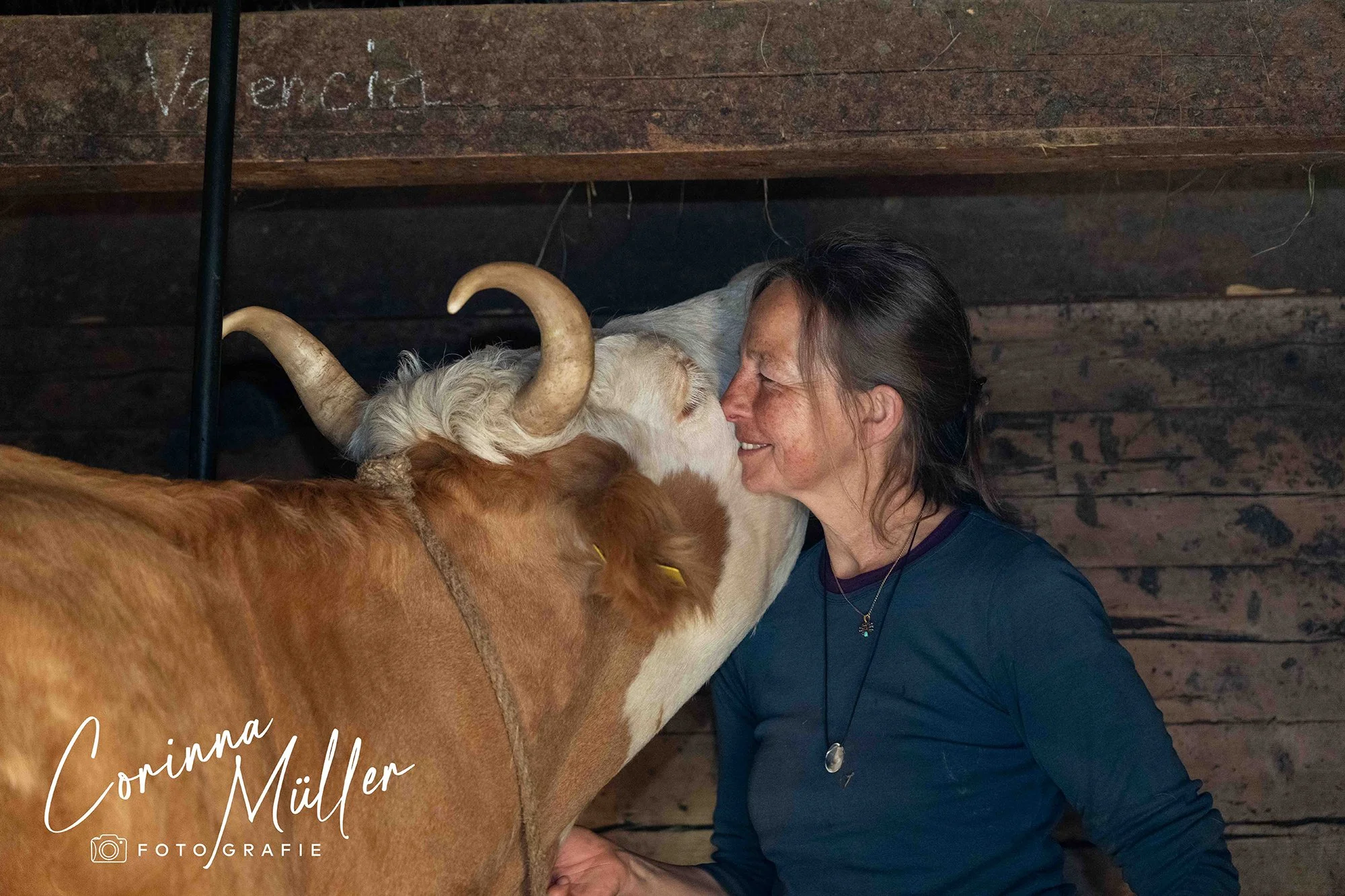 Tierfotografie Corinna Müller