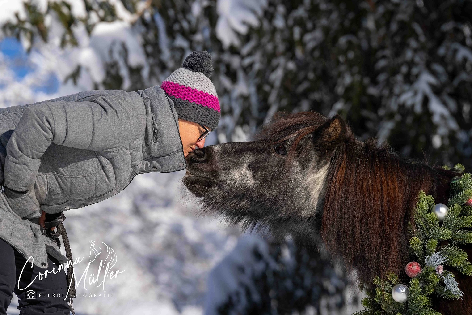 Pferdefotografie Corinna Müller
