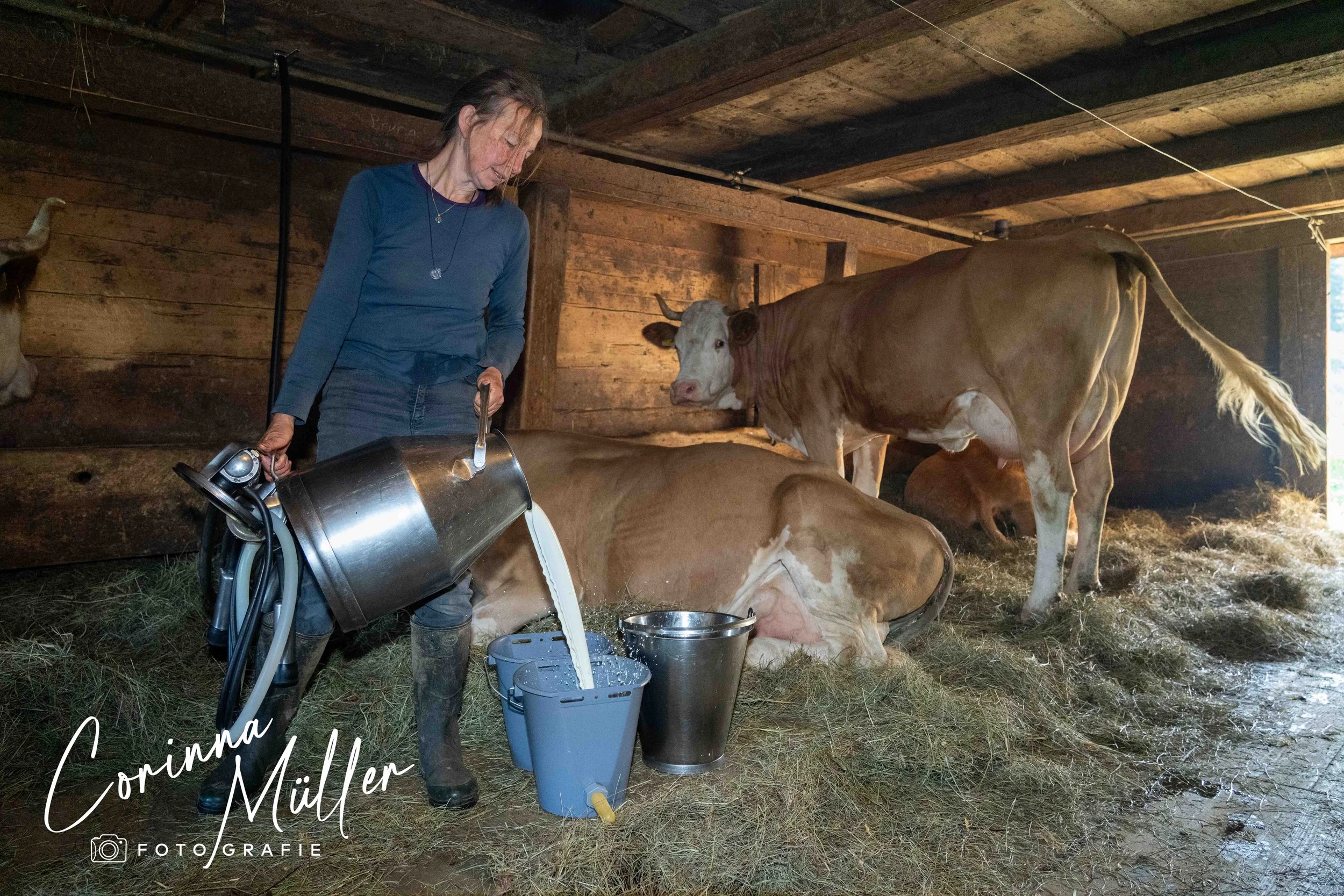 Auftragsfotografie Corinna Müller