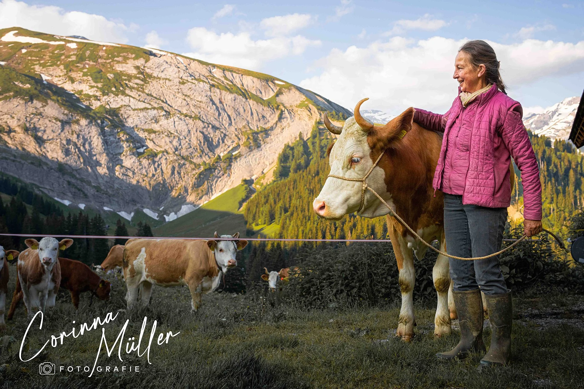 Tierfotografie Corinna Müller