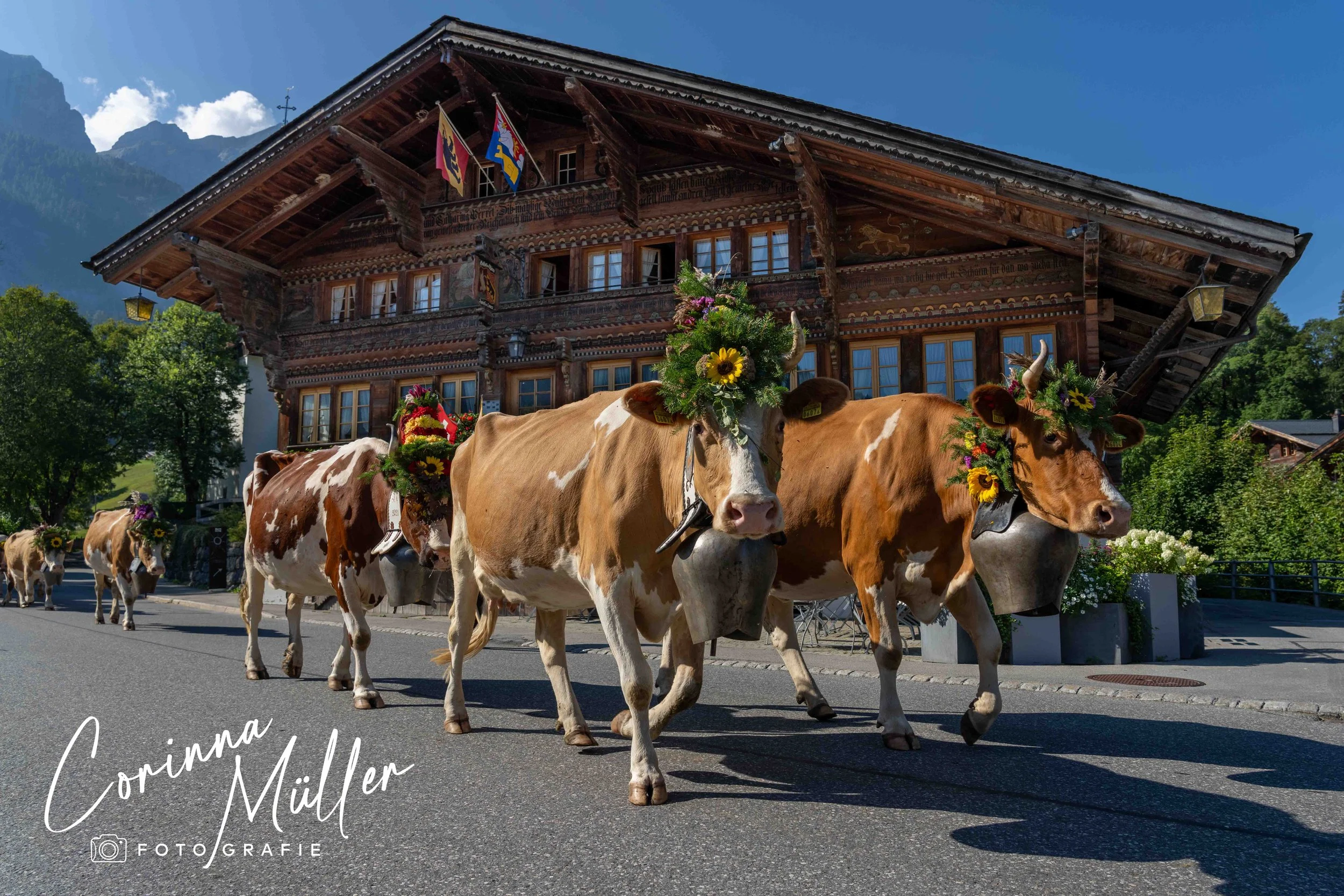 Auftragsfotografie Corinna Müller