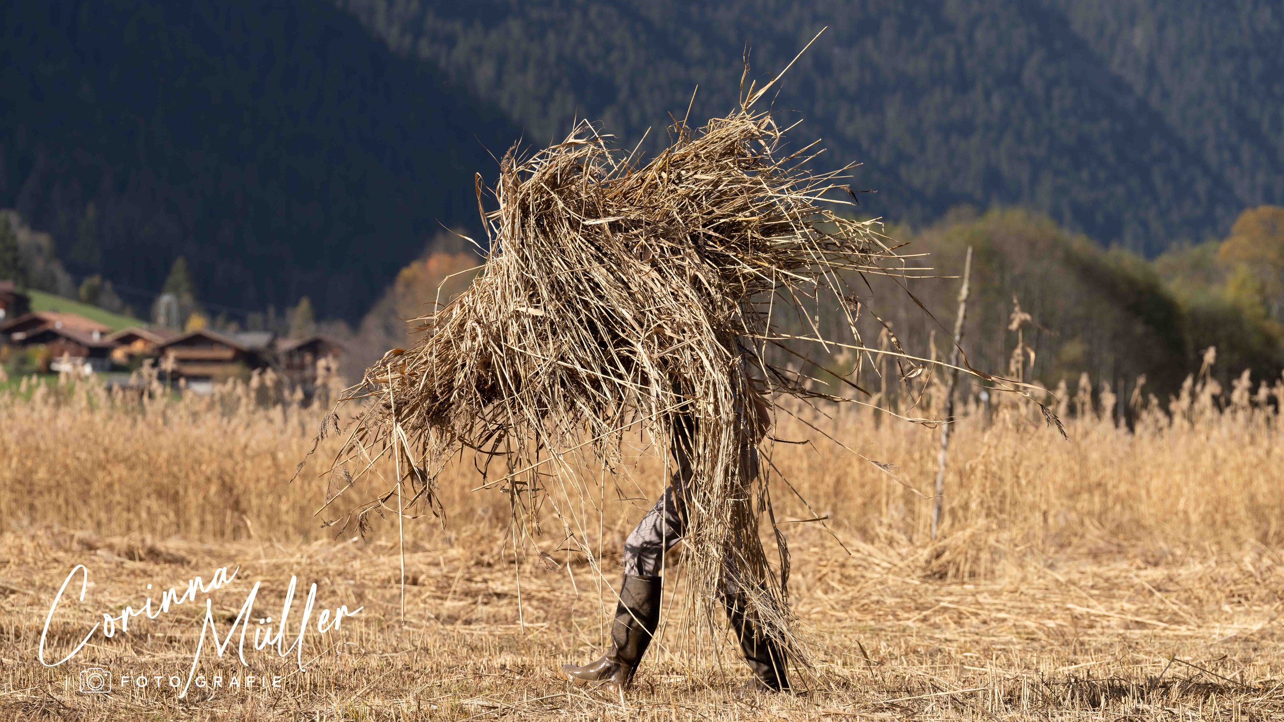 Auftragsfotografie Corinna Müller