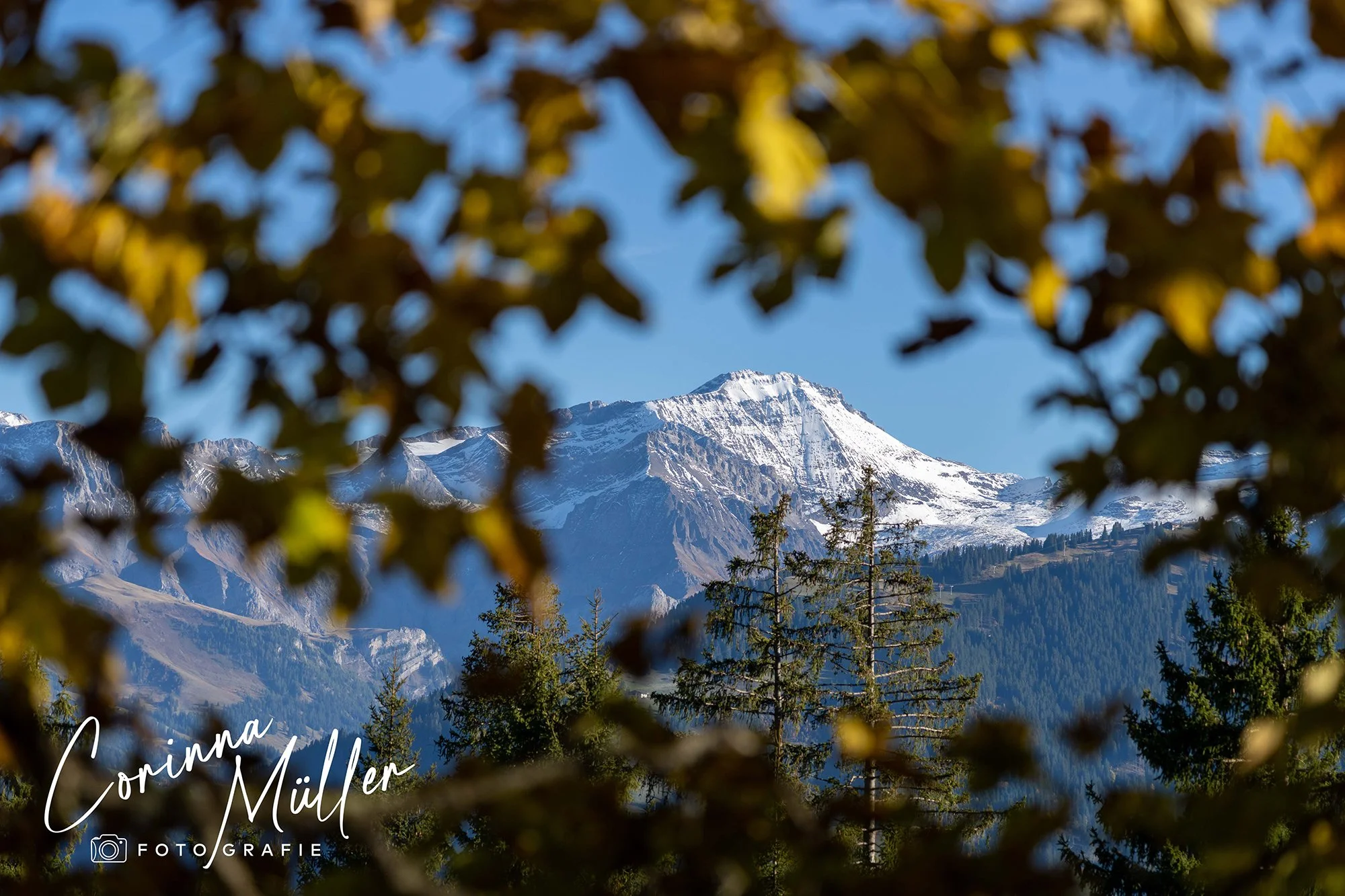 Landschaftsfotografie Corinna Müller