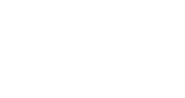 logo van BYD