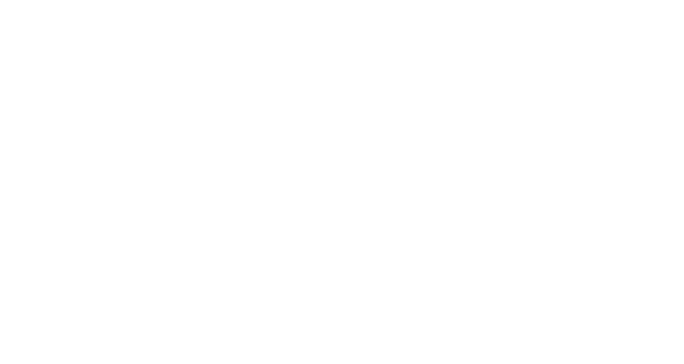 logo van Castor Advocaten