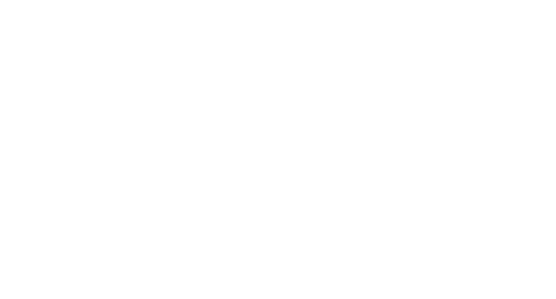 logo van MINI
