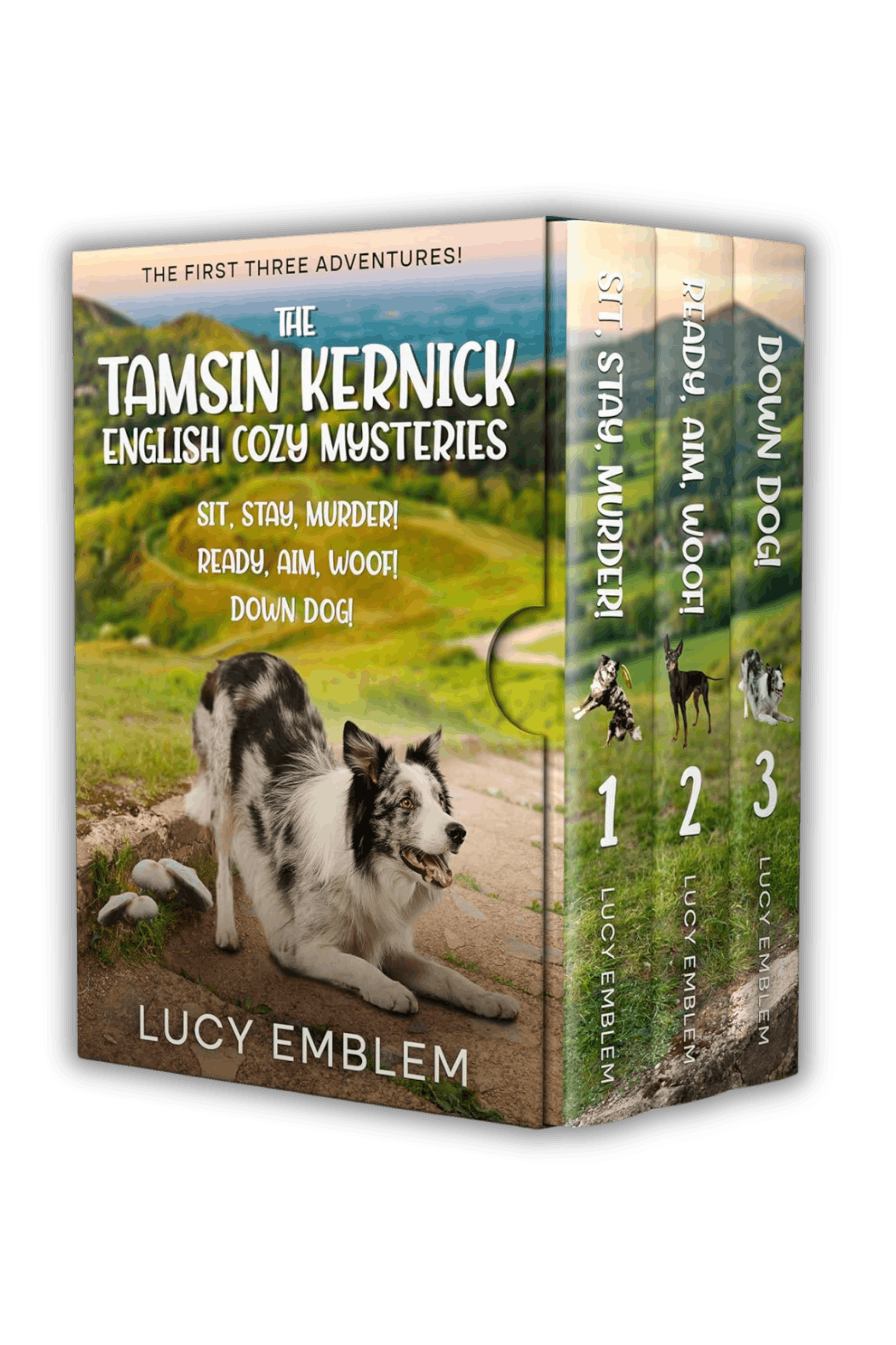 A Tail Of Christmas Murder A Charity And Muffin Cozy English Mystery a-tail-of-christmas-murder-a-charity-and-muffin-cozy-english-mystery