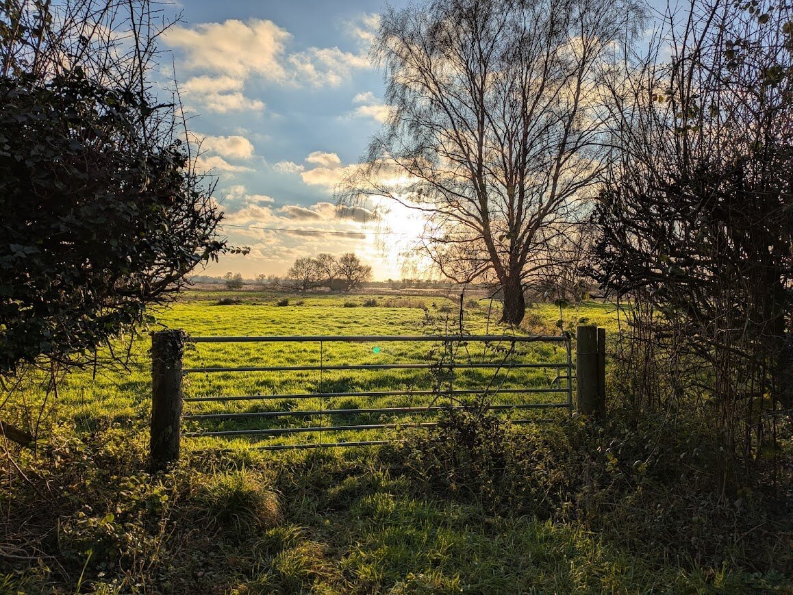 Sunlit field in the English countryside near Malvern, setting for Lucy Emblem’s village mysteries