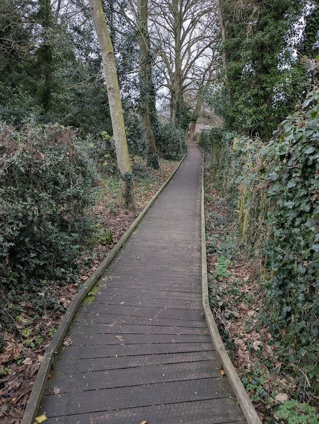 Narrow woodland path in rural England, setting for Lucy Emblem’s cozy English mysteries