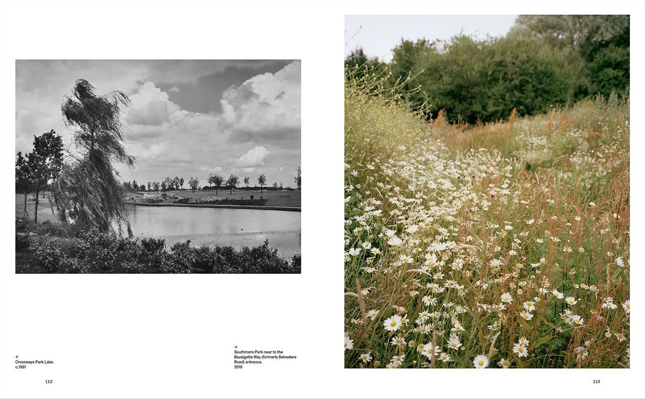 A black and white photo of a lake with a tree leaning over it on the left side, and a colorful photo of a field of white daisies and other wildflowers with greenery and trees in the background on the right side.