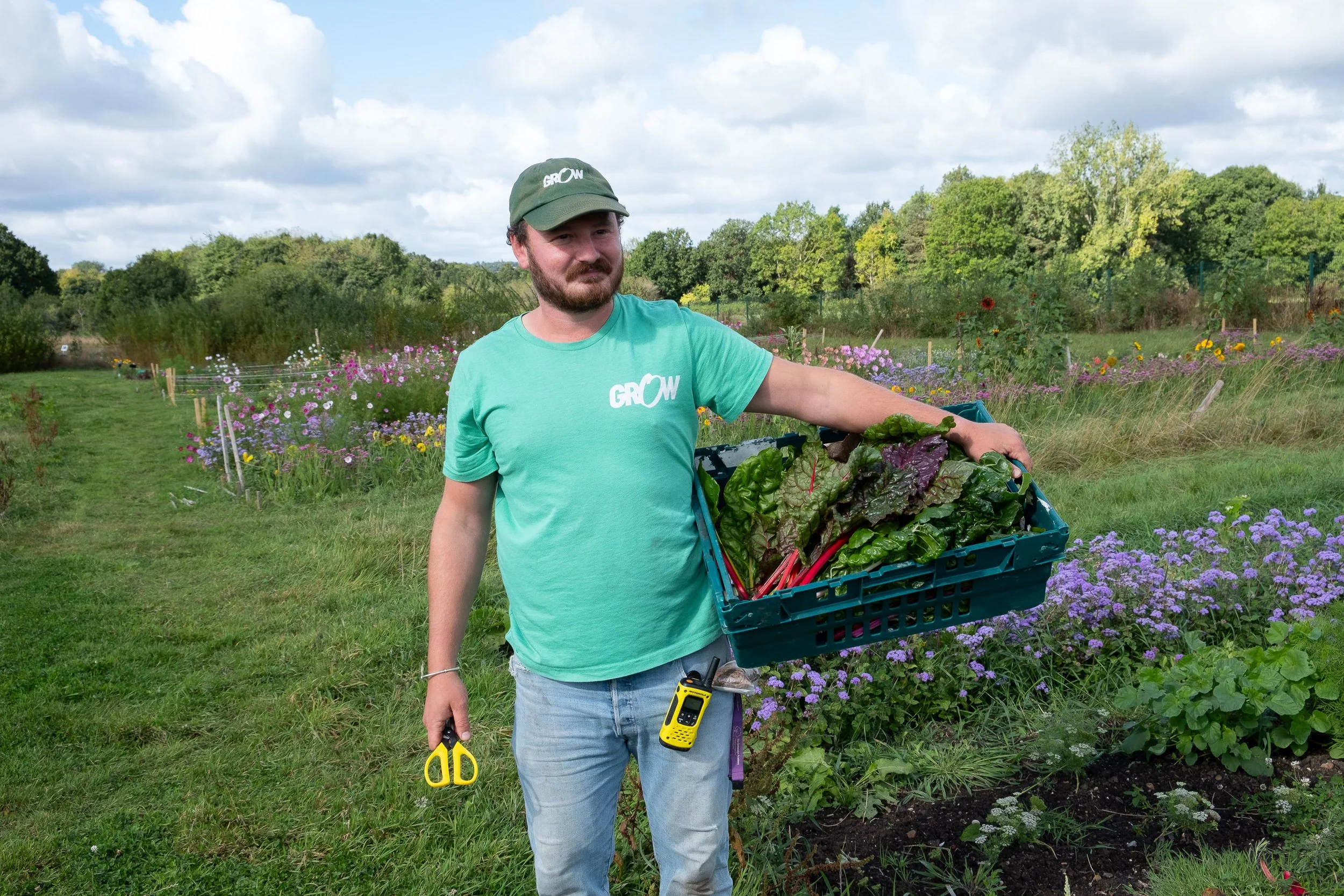 Film and stills for Grow