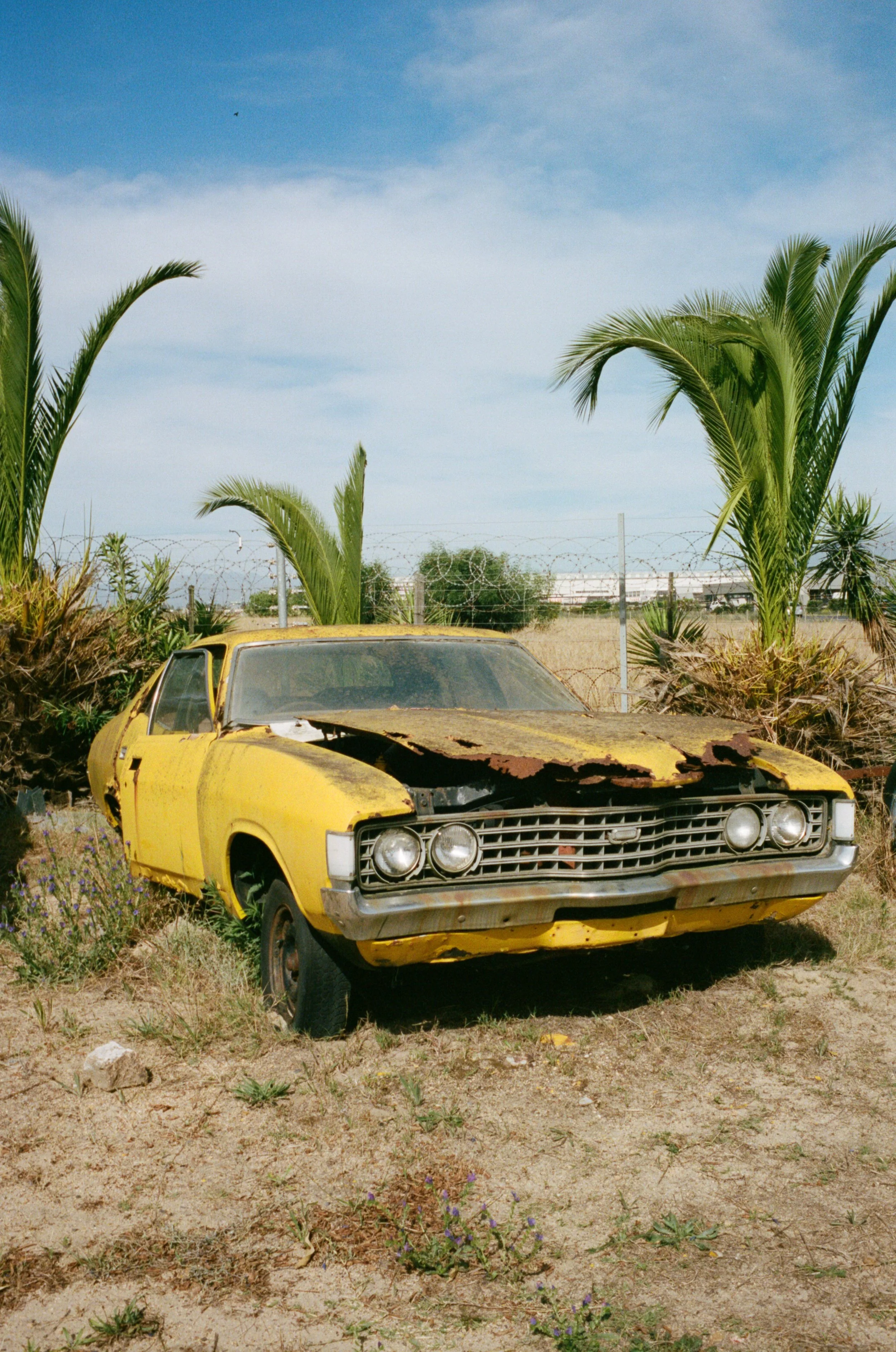 Scrapyard, Cape Town