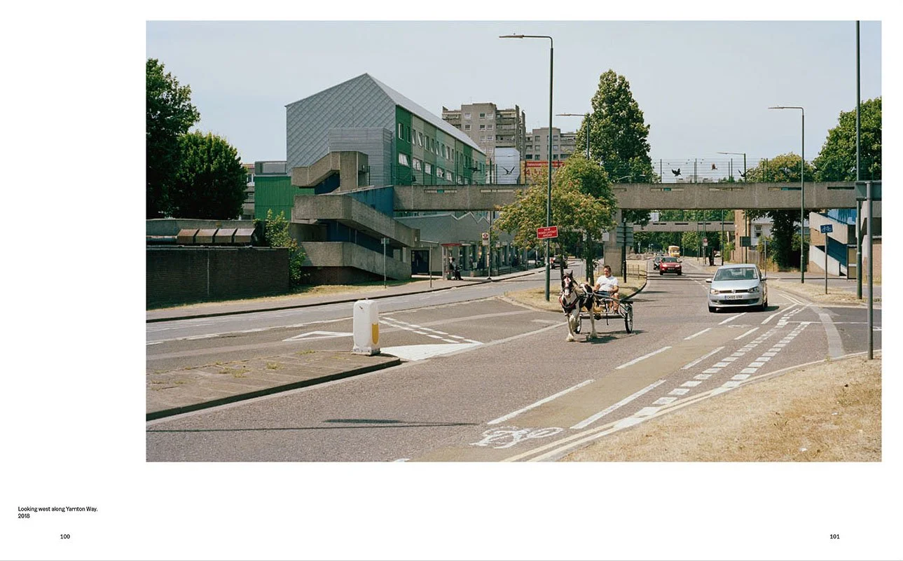 A city street scene with a person riding a horse-drawn cart on a designated bike lane, cars on the road, a modern building, trees, street signs, and streetlights under a clear sky.
