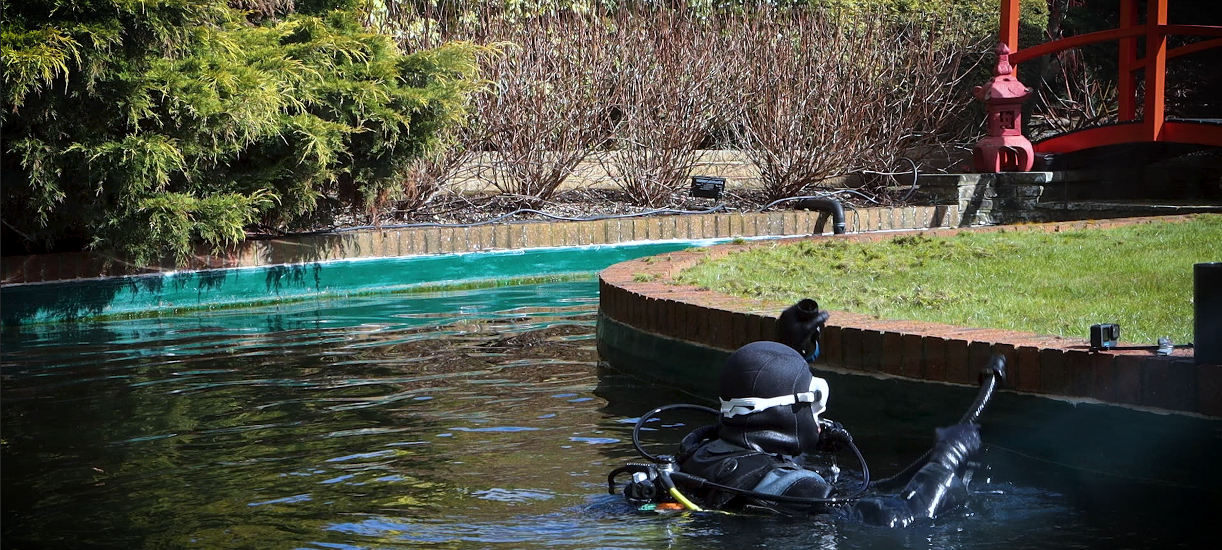 Surrey Ponds: Knaphill Shoot